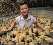 Heifer International