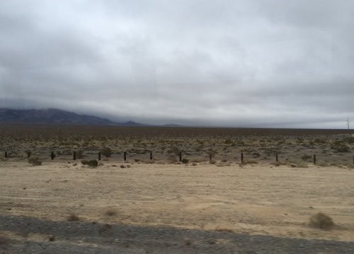 Sagebrush A picture of the drive out... Nothing but buried bodies and sagebrush out here!
