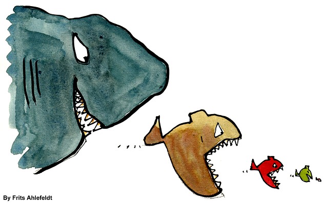 fish eat fish_Pixabay