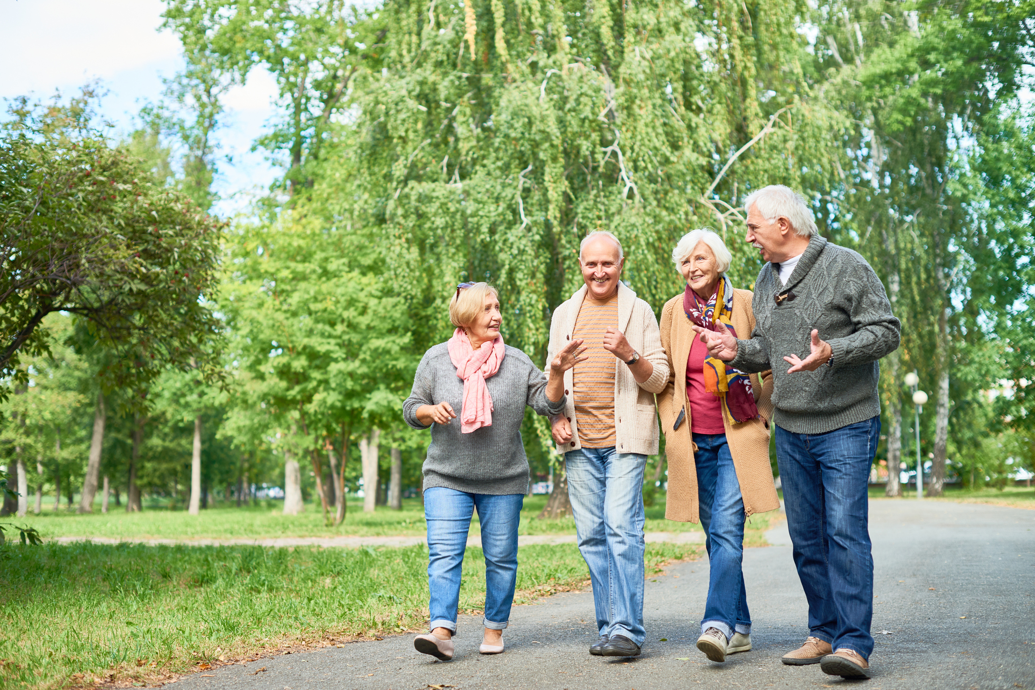 Two senior men and two senior women walking and talking in a park