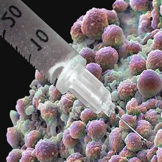 Cancer Vaccine