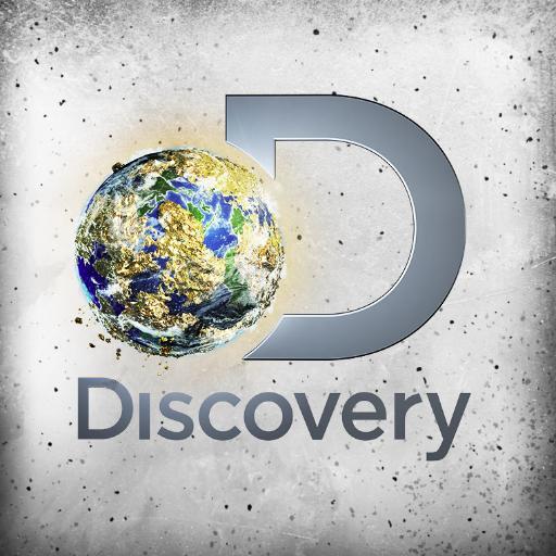 Disc
