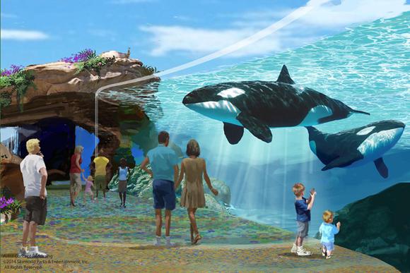 Seaworldblueworld