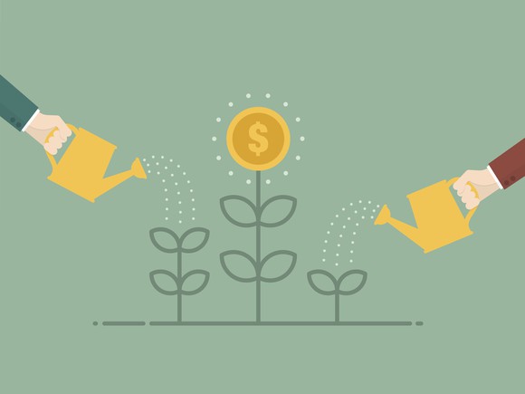 Cartoon Money Plant Growing Watering
