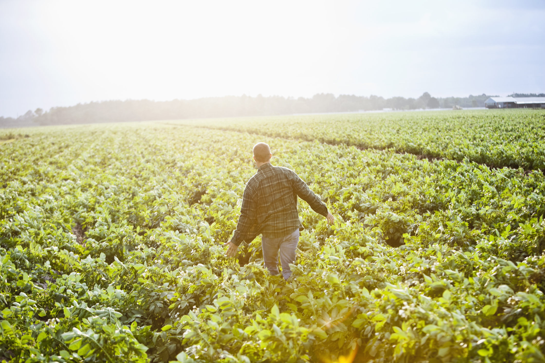 088 farmer running in field getty