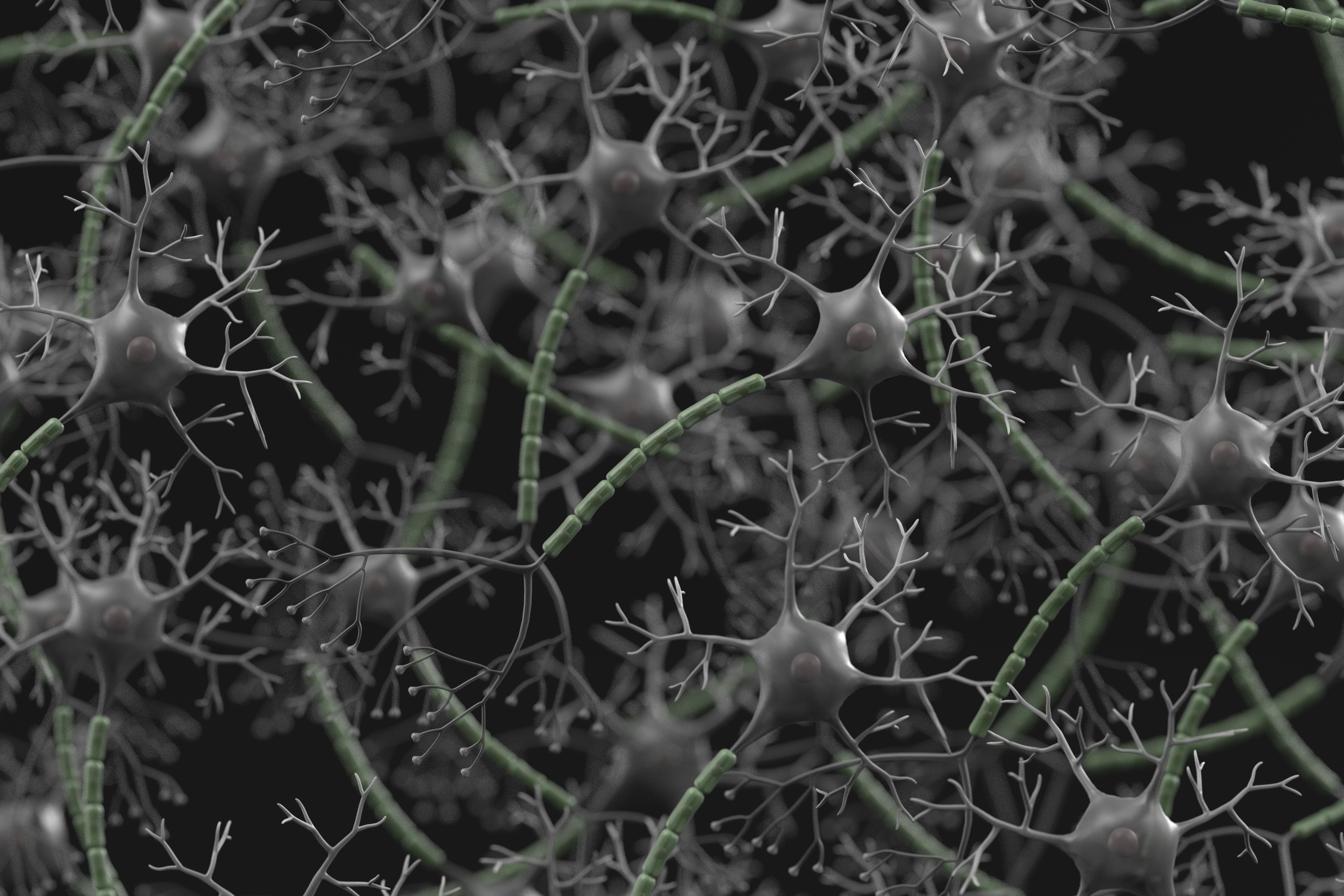 Rosen Law Firm Probes Anavex Life Sciences Over Misleading Data Claims