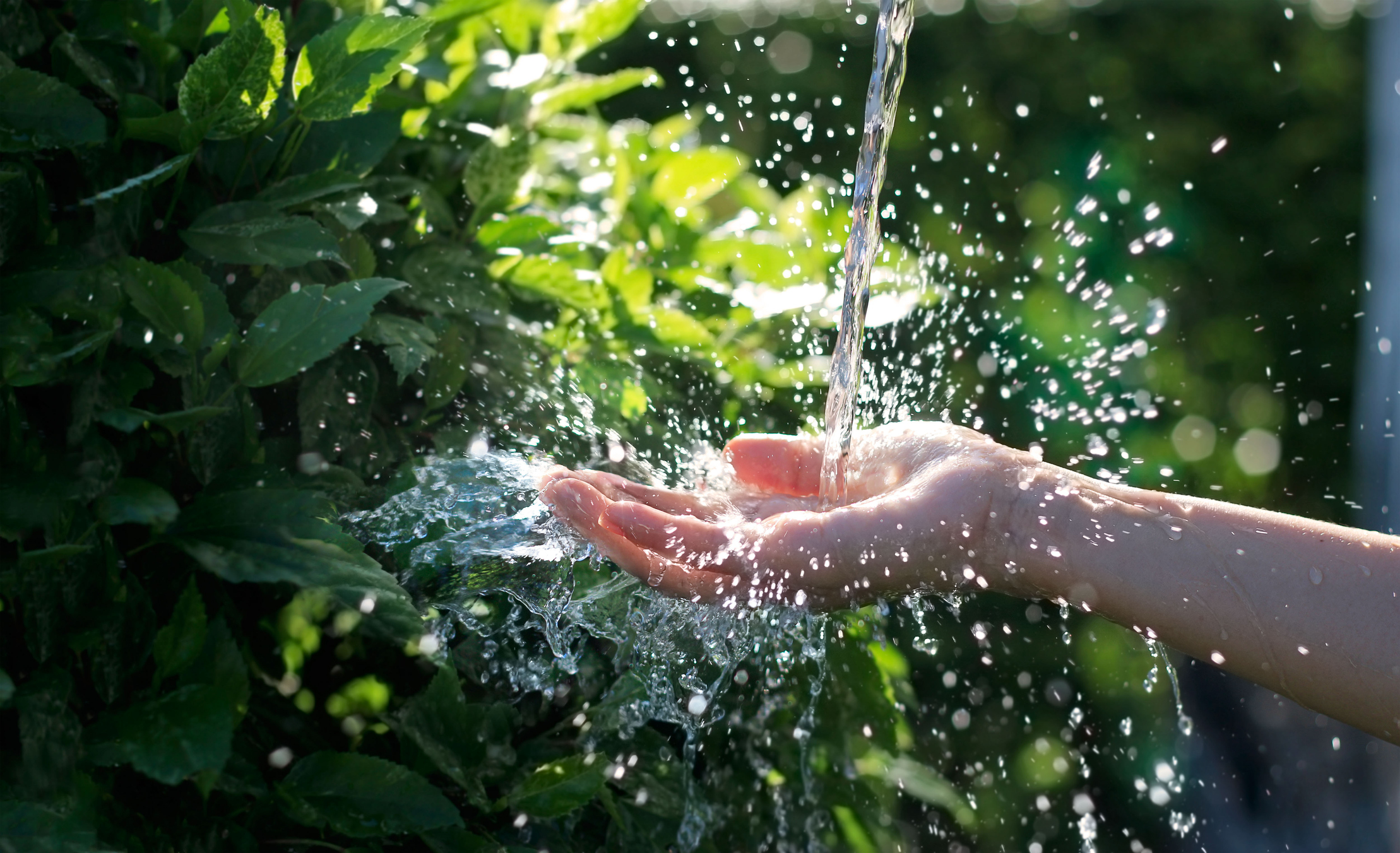 Stream of water falling on woman's hand with green bushes in the background.