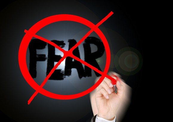 Fear Emotions Investor Risk Money Performance
