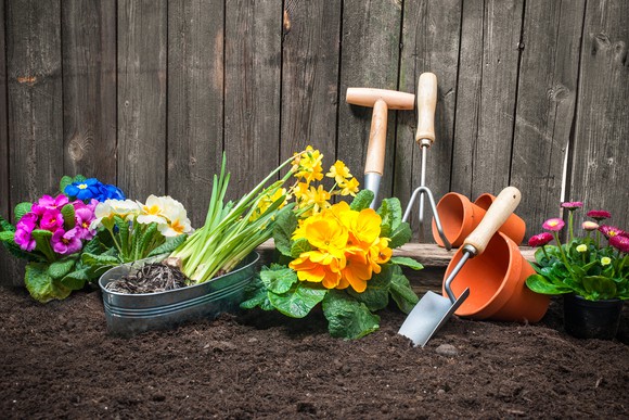 An assortment of gardening tools sitting in soft soil waiting to be used.