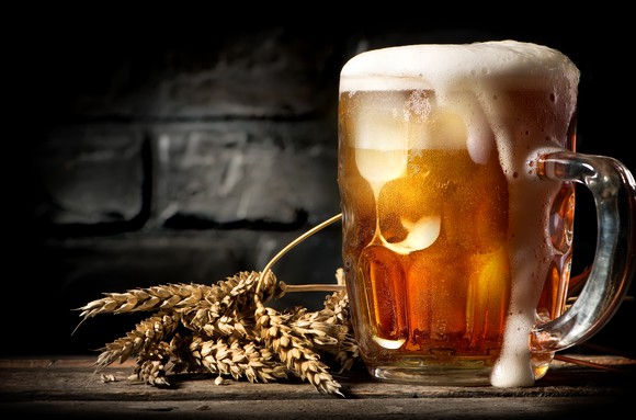 A mug of beer along side wheat grains.