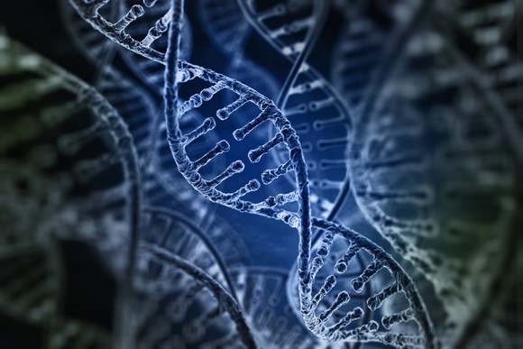 DNA strands.