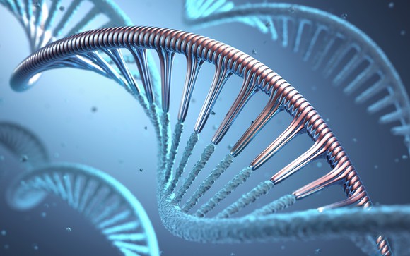 Strands of DNA.