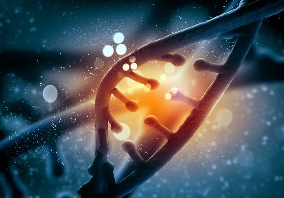 DNA