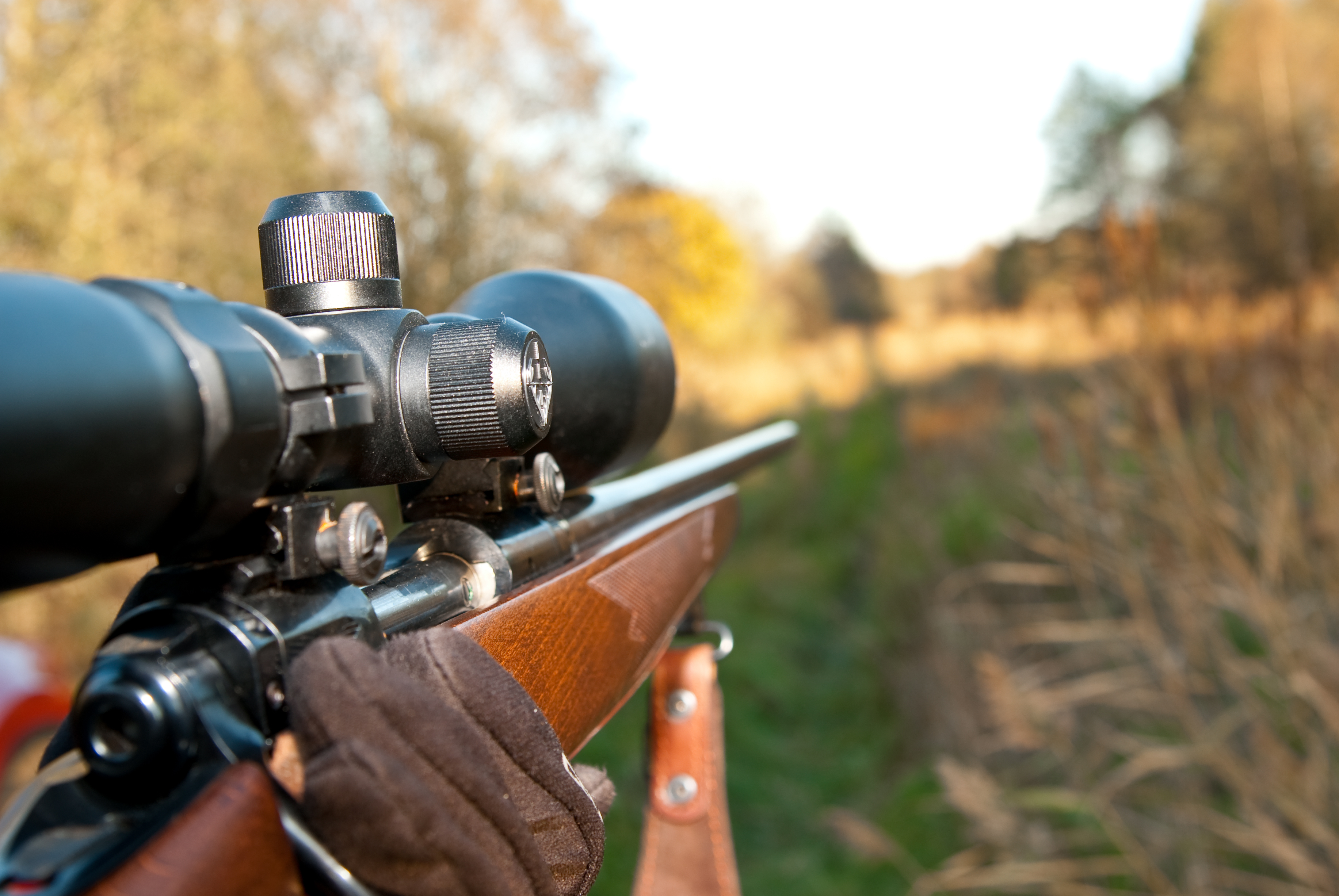 Scoped rifle pointing downrange