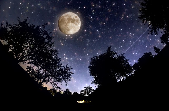 Full moon in a tree-lined night sky full of stars