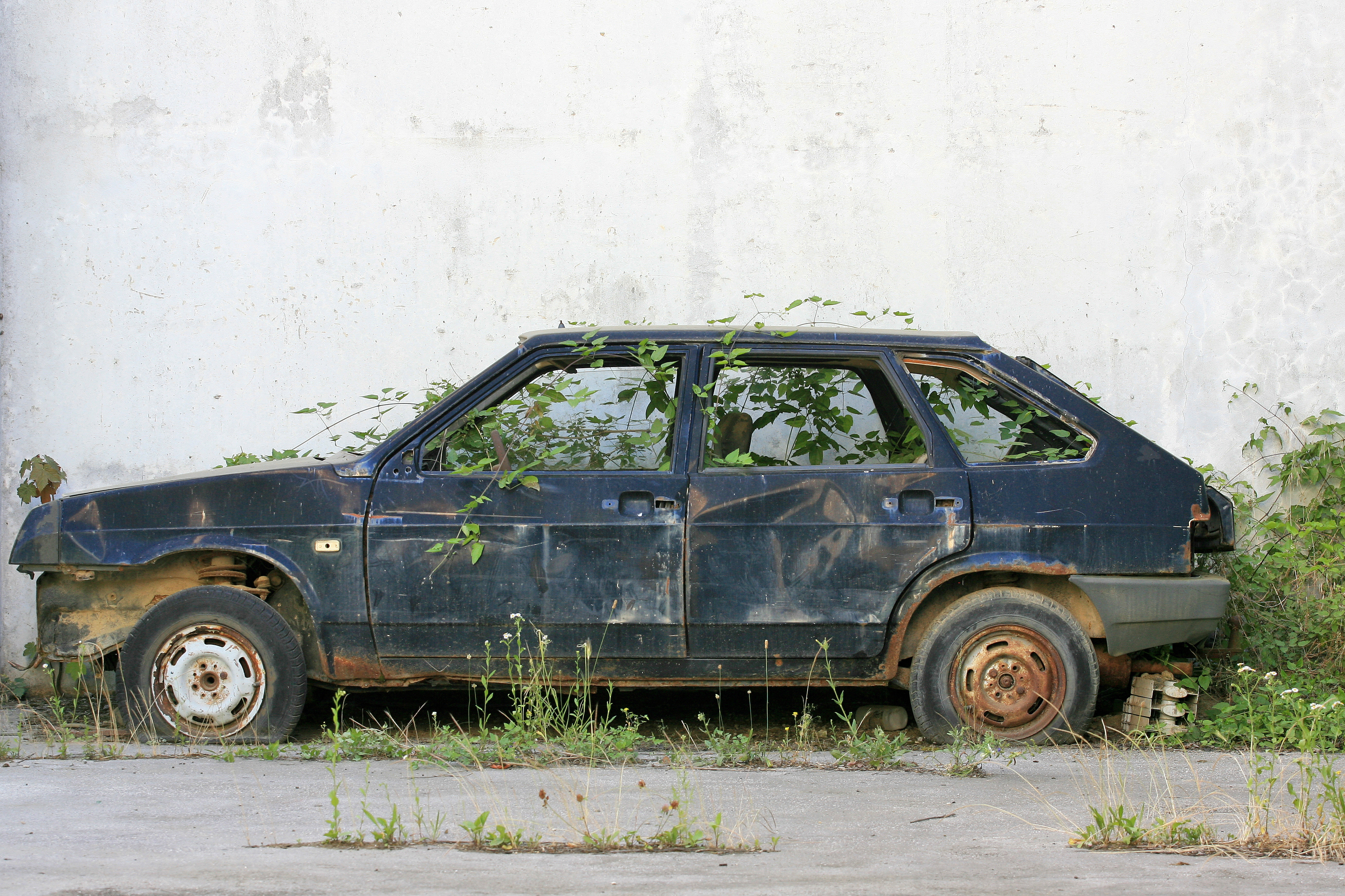 Picture of abandoned car with weeds growing inside of it.