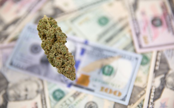 Marijuana buds on blurred background of money