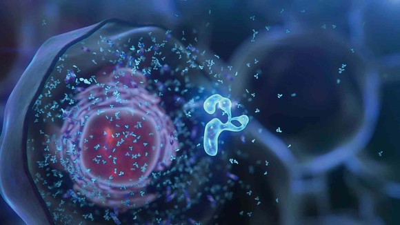 Antibody analysis under magnification.