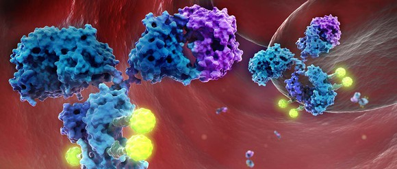 Artist's rendering of glembatumumab vedotin (glemba), an antibody drug conjugate owned by Celldex Therapeutics