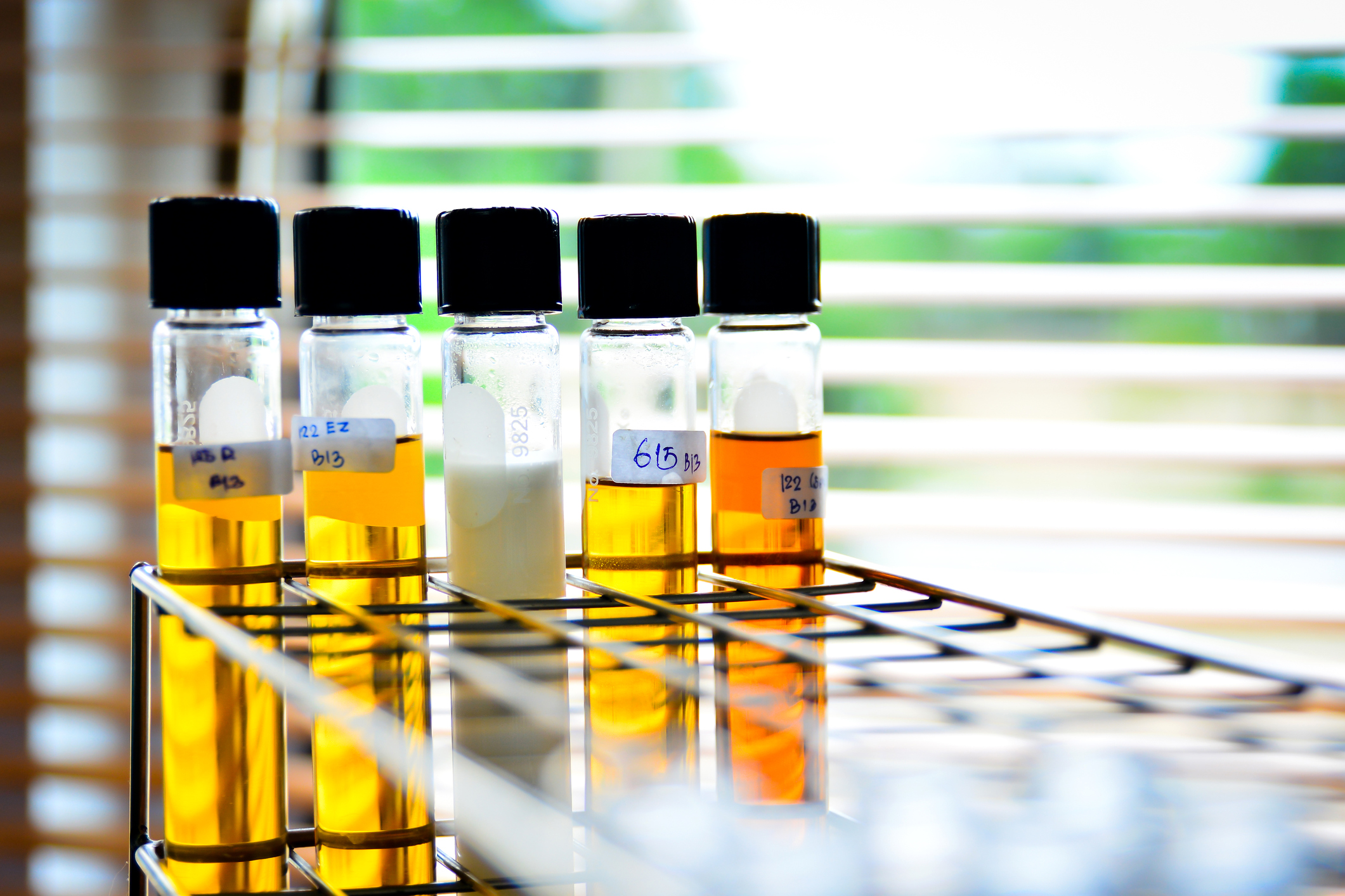 Test tubes on a laboratory desk