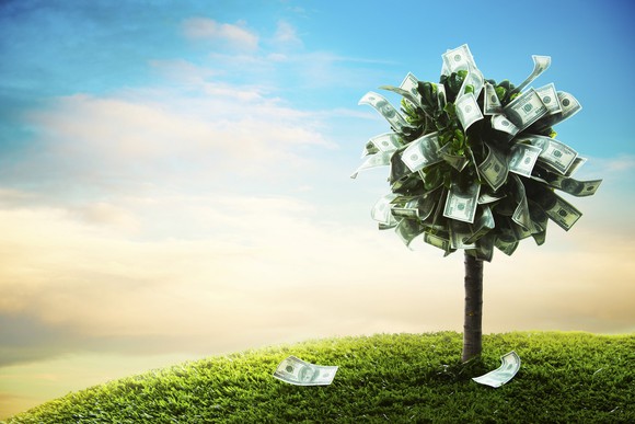 Photo of a "money tree" with dollars instead of leaves.