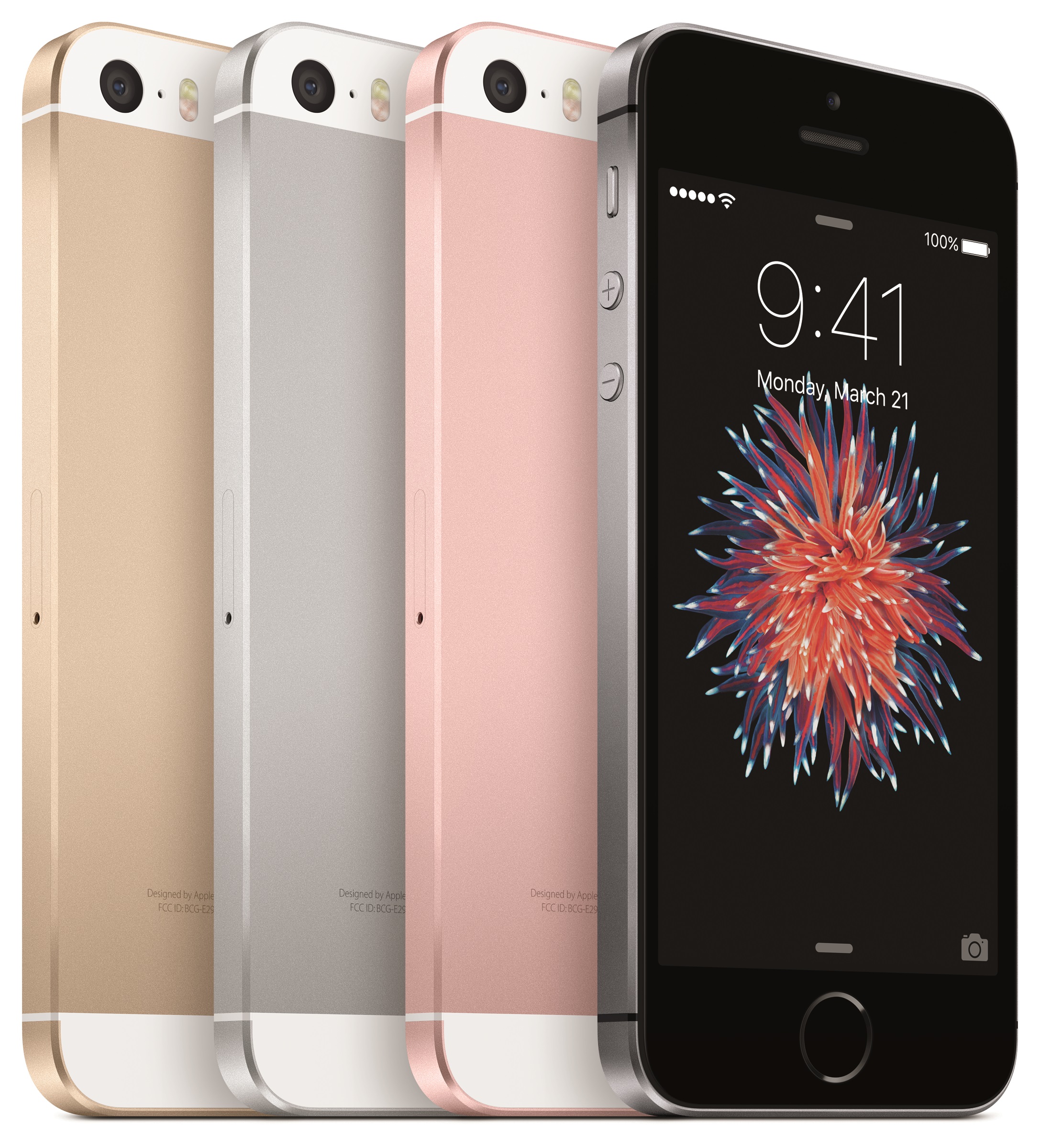 This image depicts Apple's iPhone SE lineup in four colors -- gold, silver, rose gold, and space gray.