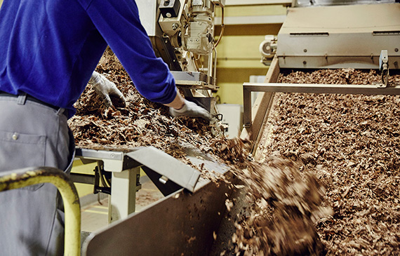 A tobacco leaf sorting machine.