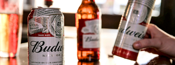 Budweiser beer