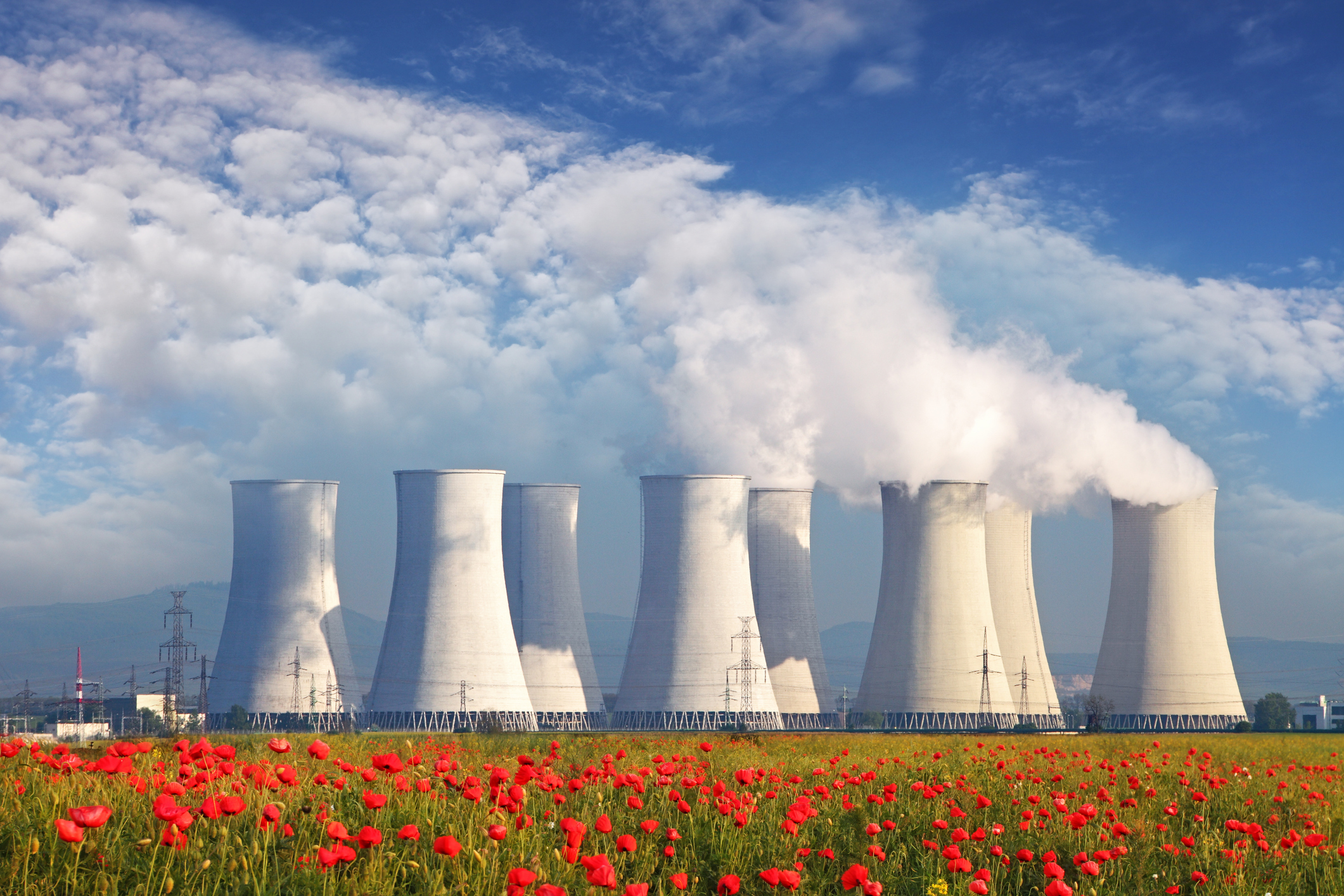 Nuclear power plant with field of red flowers in the foreground.