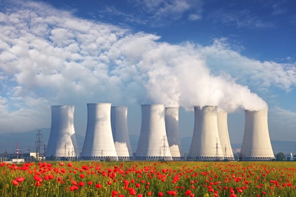 Nuclear power plant with field of red flowers in the foreground.
