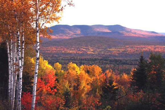Rolling hills covered in vibrant fall foliage