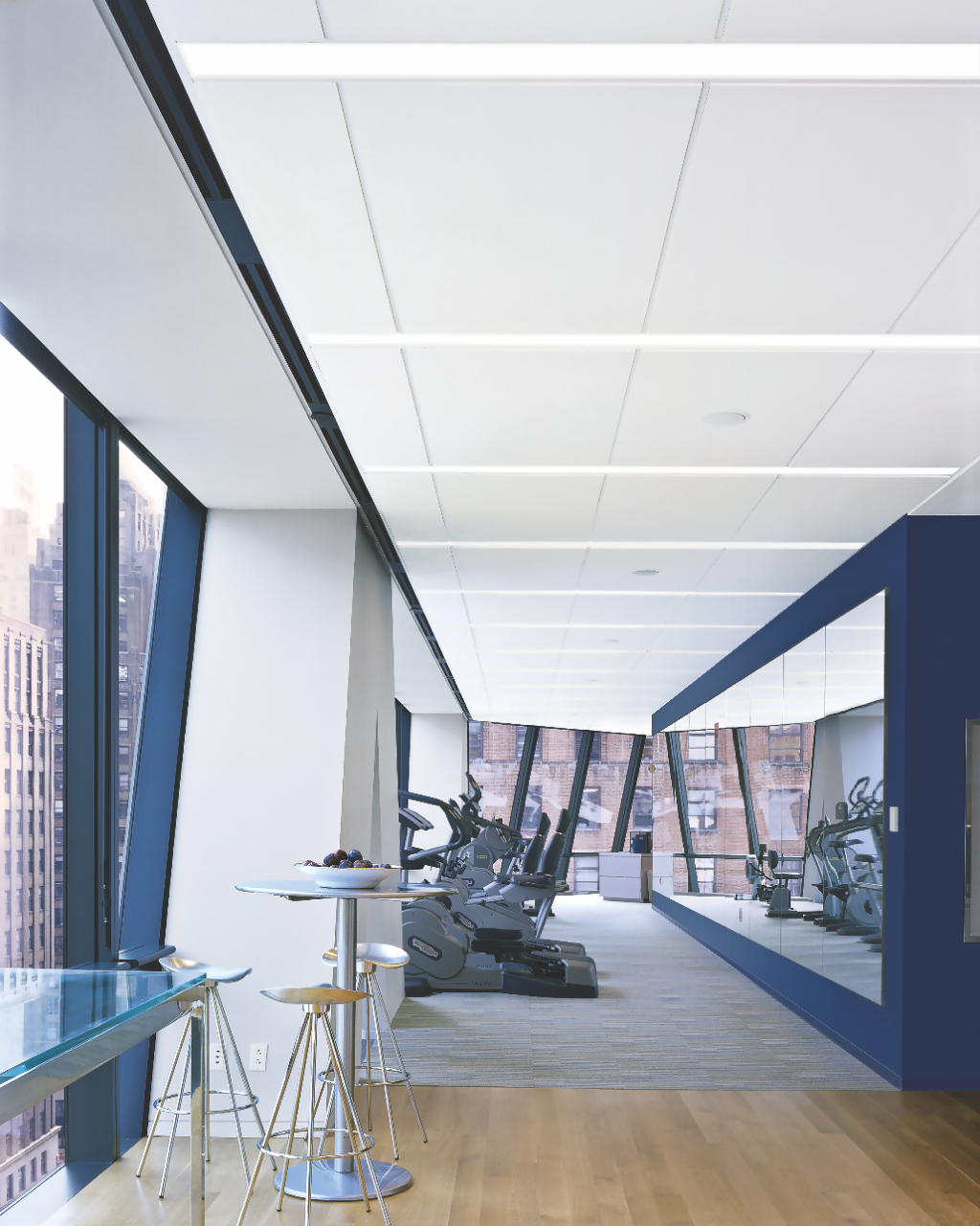 USG Acoustic panels