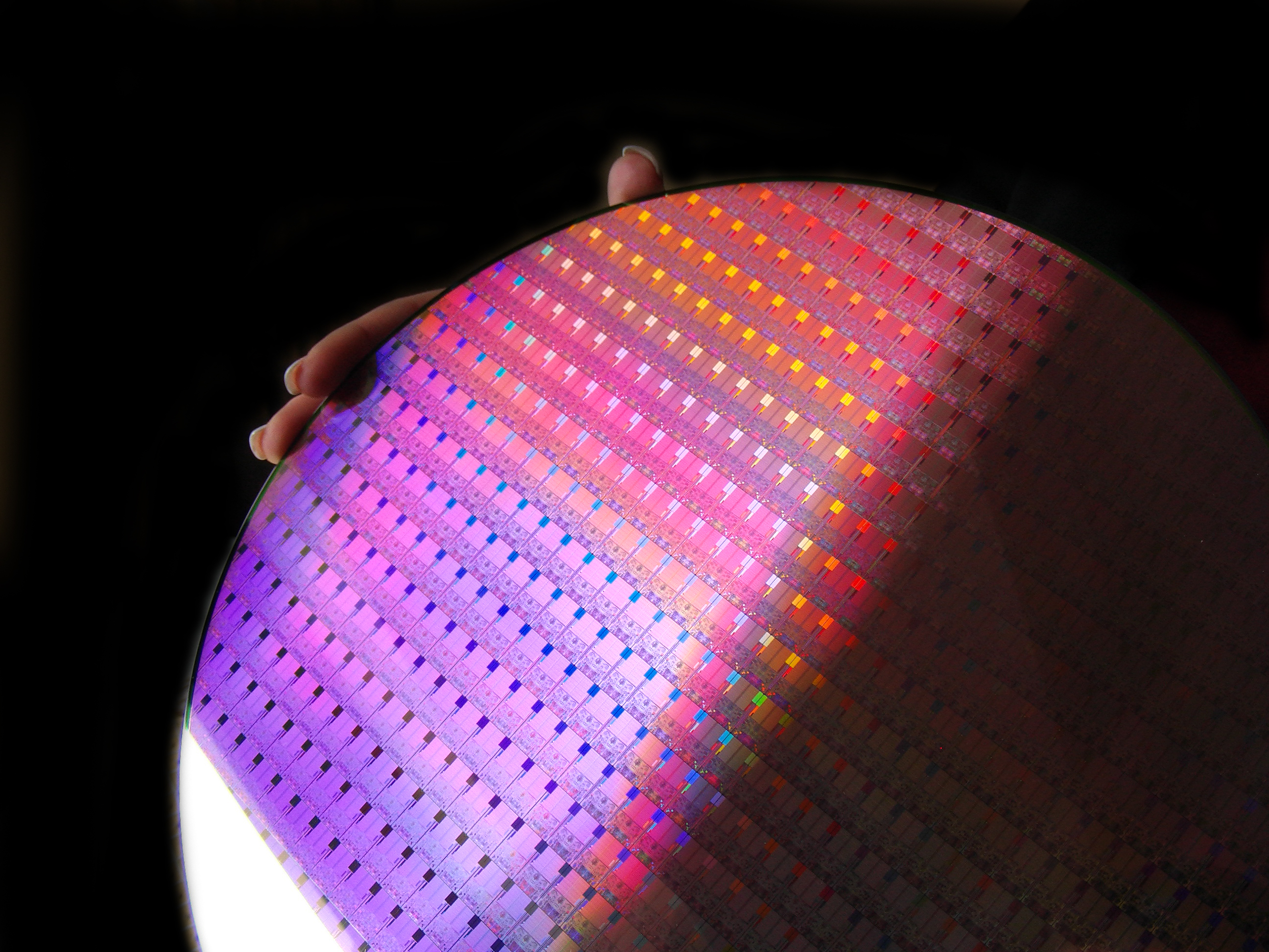 A wafer of Intel processors.