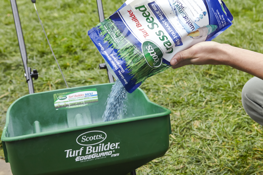 Preparing to spread Scotts grass seed with a Turf Builder spreader