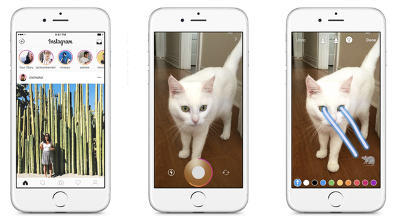 Instagram Story featuring a cat shooting lasers out of its eyes