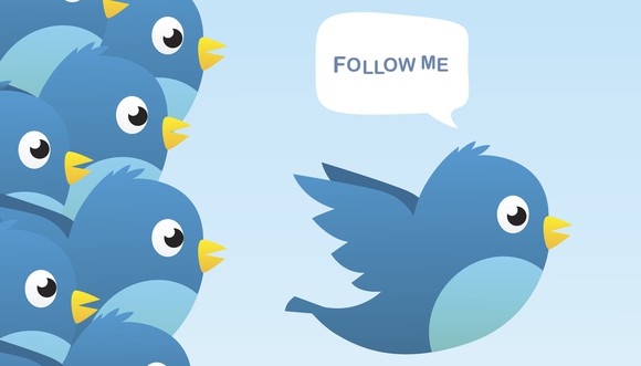 Illustration of numerous blue birds following another blue bird