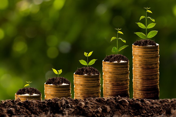 Successive stacks of coins sprouting larger and larger plants, symbolizing growth.