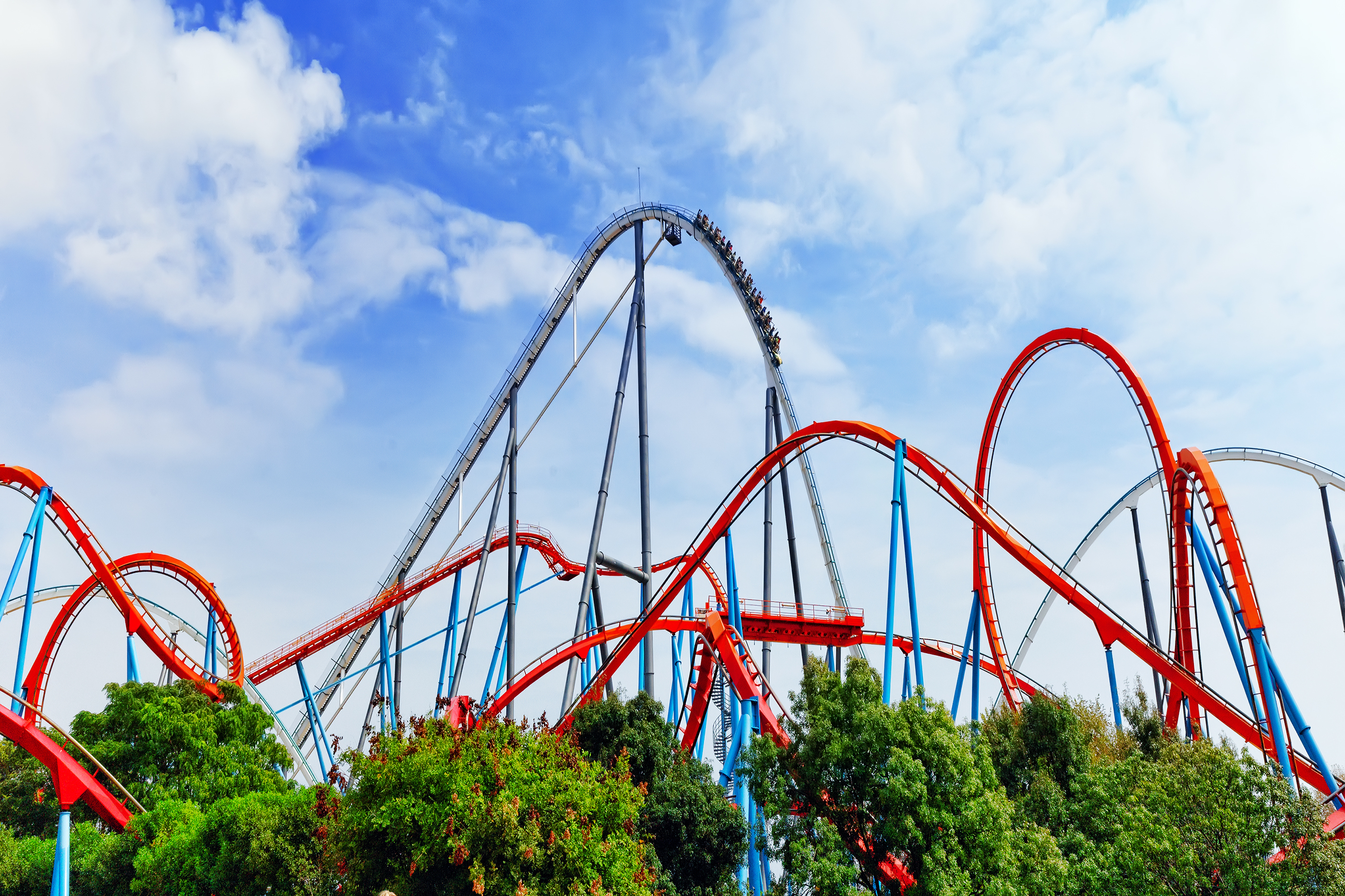 A roller coaster above the treetops