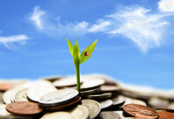 A seedling sprouts from a pile of coins.