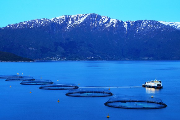An aquaculture farm.