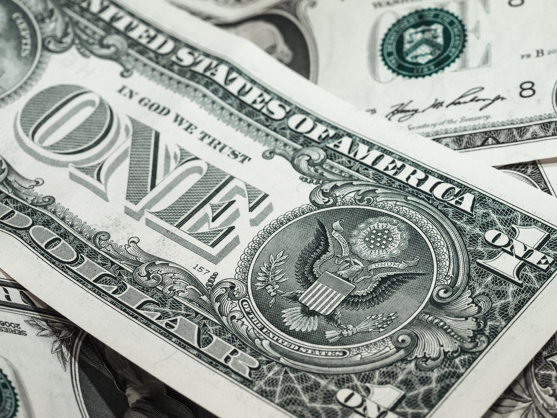 A pile of dollar bills.