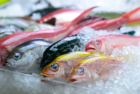 Dead fish on ice.