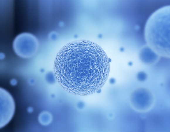 T-cell.