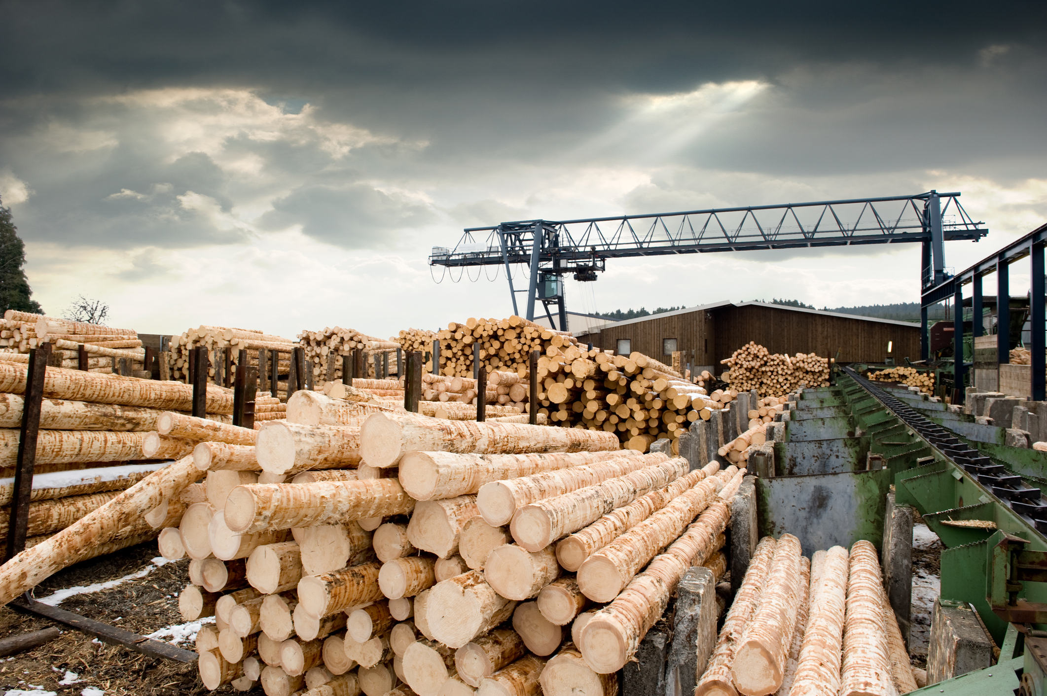 Stacks of logs at a sawmill.