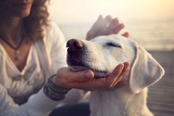 A woman pets a dog on the beach.