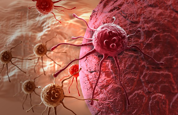 T-cell.
