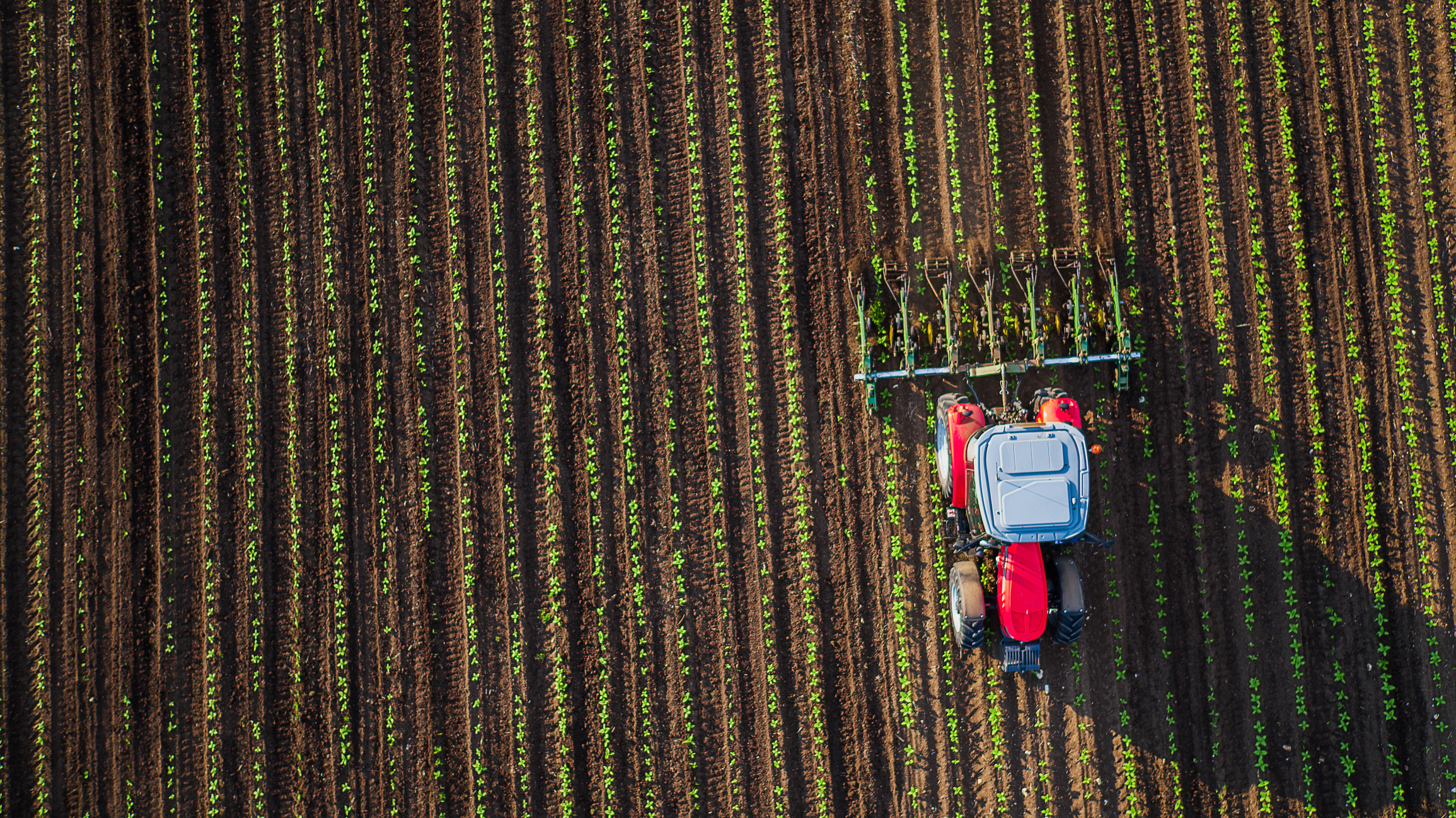 Tractor in a field shown from overhead.