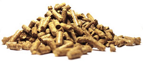 A pile of Enviva wood pellets.