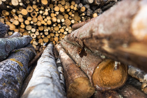 Raw lumber in a large pile.
