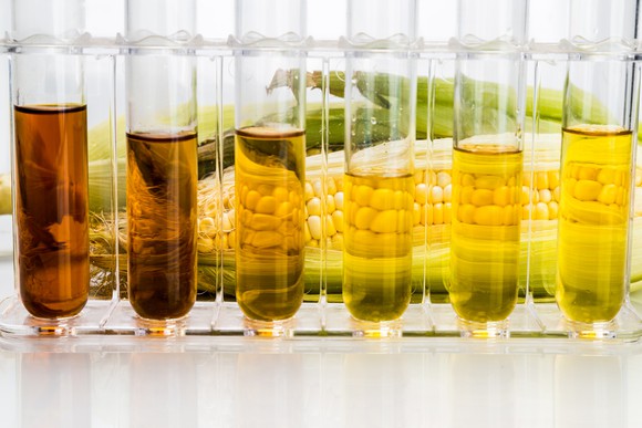 Test tubes with various types of liquid corn products in them, and a cob of corn in the background.